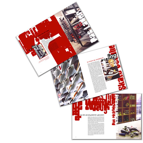 Printprojekt Vordiplombooklet mit Fotografien und Illustrationen